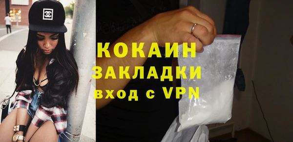 дживик Арсеньев