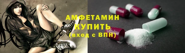 стафф Аркадак