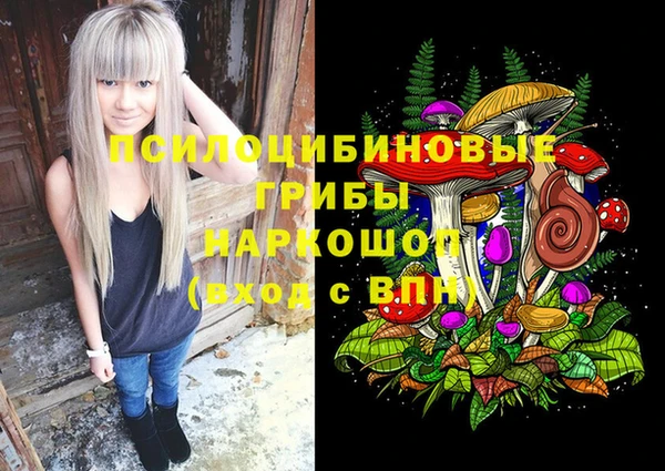 дживик Арсеньев