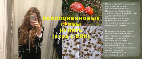 дживик Арсеньев