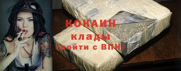дживик Арсеньев