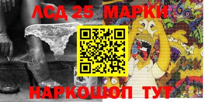 СК Кандалакша