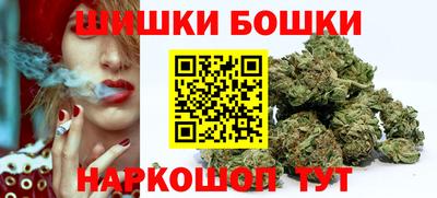 PSILOCYBIN Камышлов