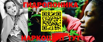 PSILOCYBIN Камышлов
