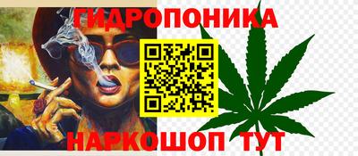 спиды Канаш