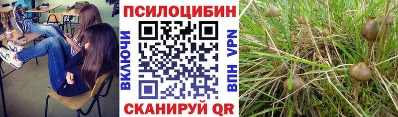 сколько стоит  darknet клад  Галлюциногенные грибы Magic Shrooms  Лесной 