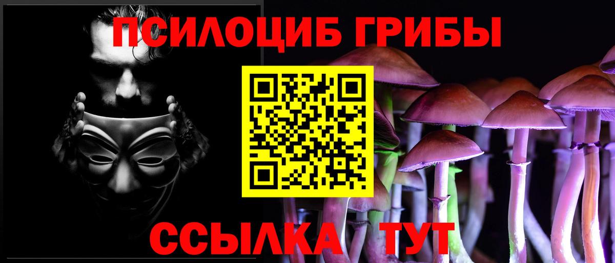 Галлюциногенные грибы Psilocybe  сколько стоит  Лесной  Вход с VPN 